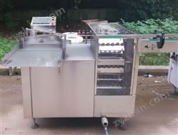 XLP型超声波转鼓式洗瓶机